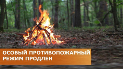 Превью новости