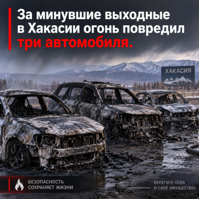 Превью новости