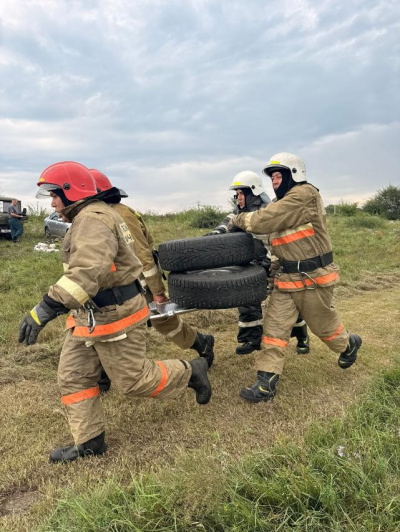 Превью новости